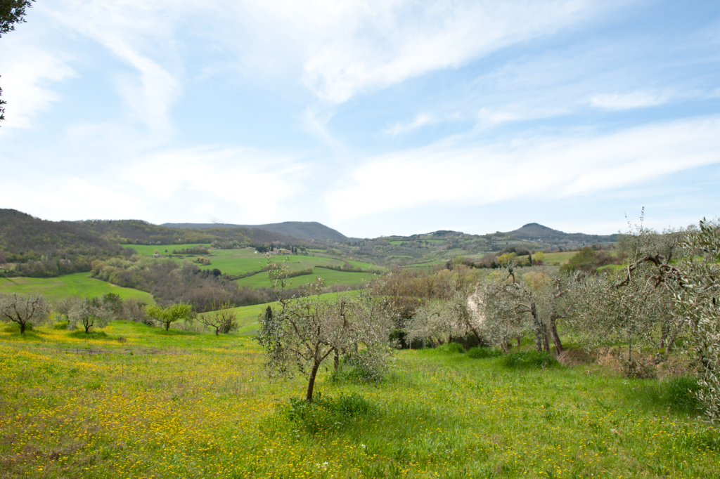 campagna