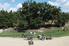 Escursione in quad in Val d'Orcia, la quercia delle Checche