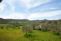 Panorama dalla fattoria