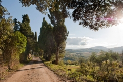 La nostra strada