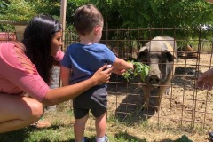 I bambini e la cinta senese