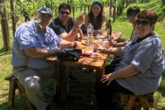 Degustazione dopo il tour della Fattoria